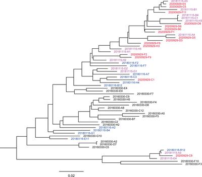 Neutralization Sensitivity of HIV-1 CRF07_BC From an Untreated Patient With a Focus on Evolution Over Time